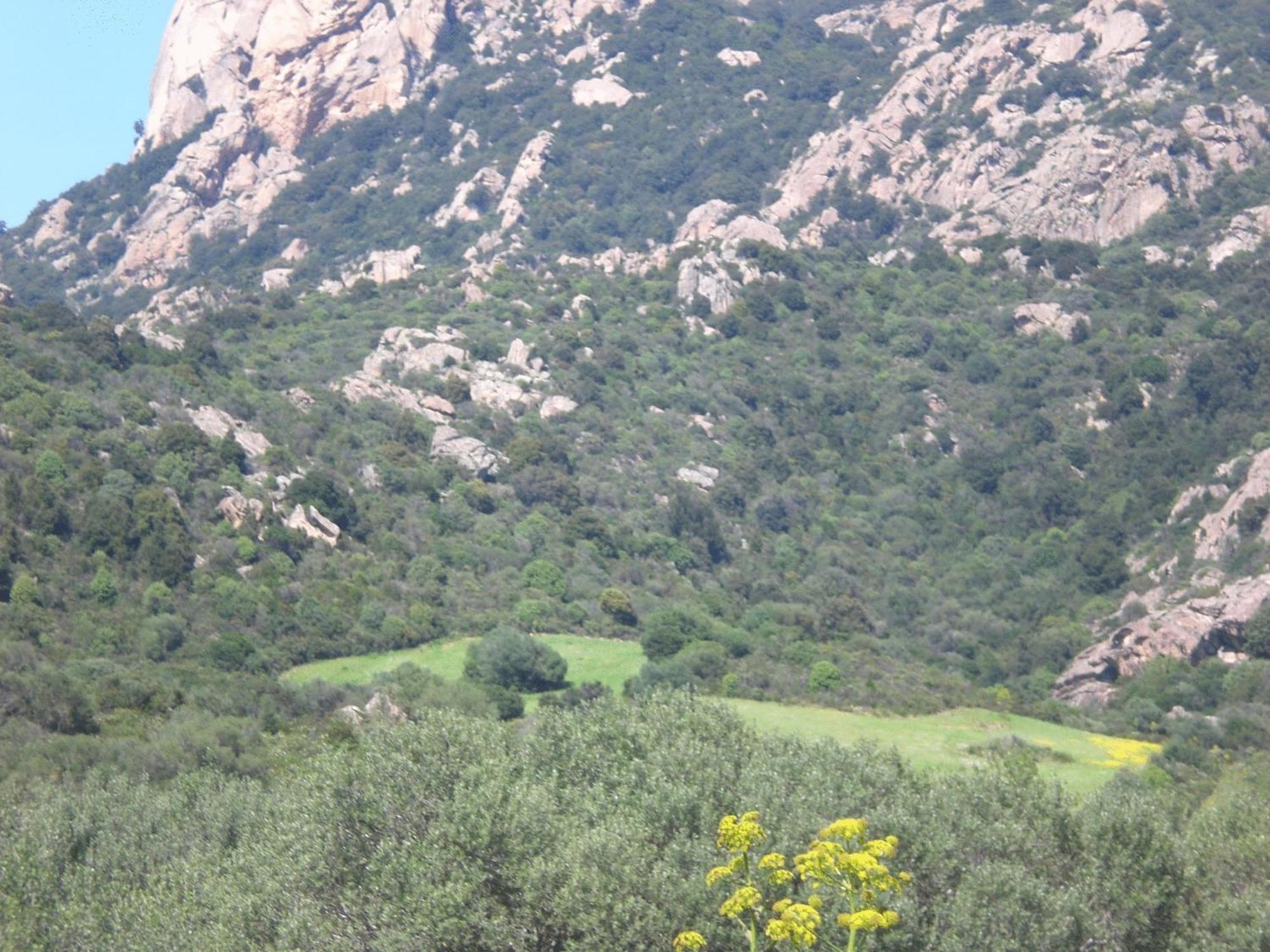 Hotel Turismo Rurale Montitundu Portisco Exteriör bild